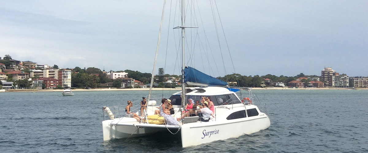 rose bay catamaran hire